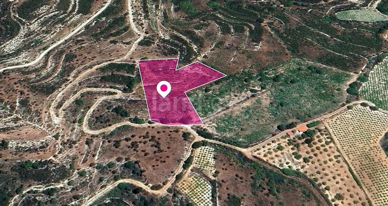 Field for sale in Limassol