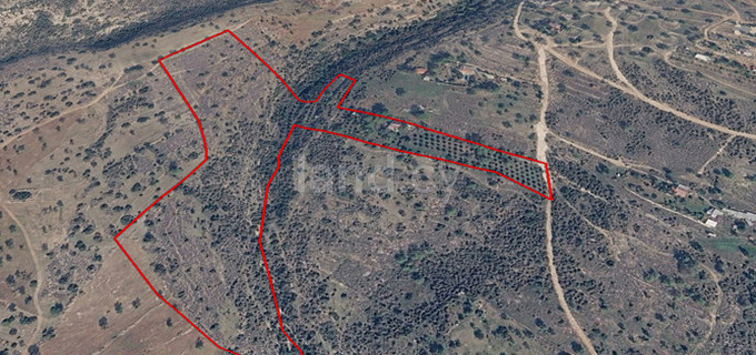 Agricultural field for sale in Limassol