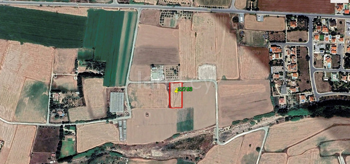 Agricultural field for sale in Larnaca