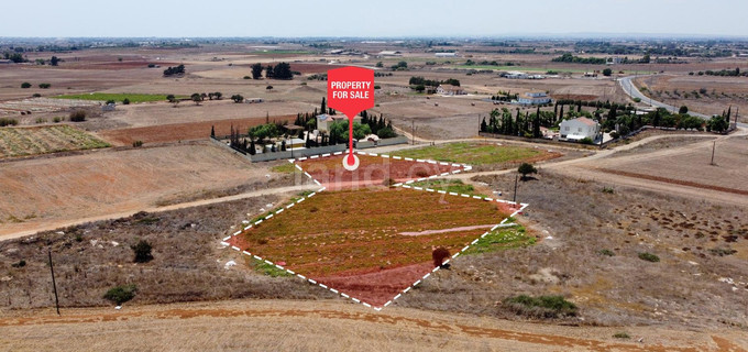Industrial field for sale in Frenaros