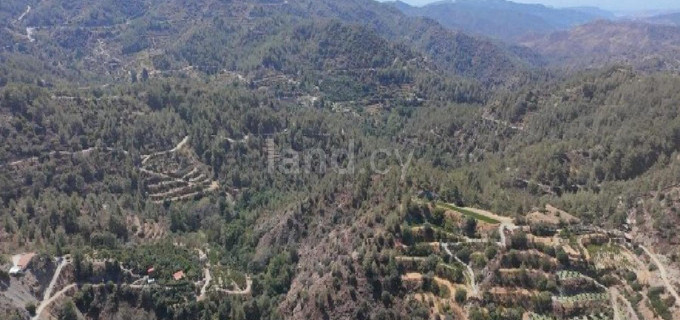 Agricultural field for sale in Limassol