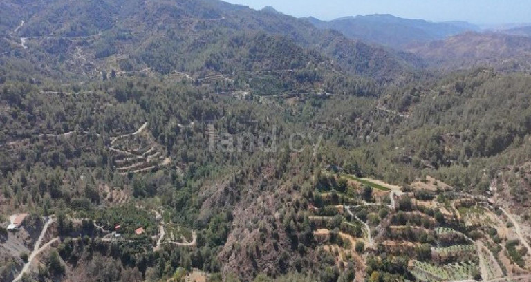 Agricultural field for sale in Limassol