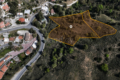 Agricultural field for sale in Nicosia