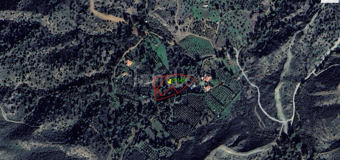 Agricultural field for sale in Nicosia