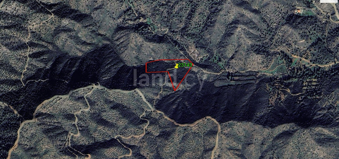 Agricultural field for sale in Nicosia