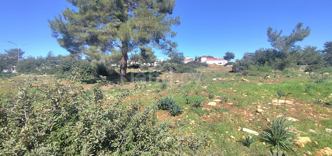 Residential field for sale in Limassol