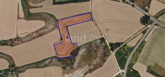 Agricultural field for sale in Avgorou