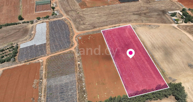 Agricultural field for sale in Deryneia