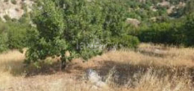 Αγροτικό αγροτεμάχιο προς πώληση - Πάφος
