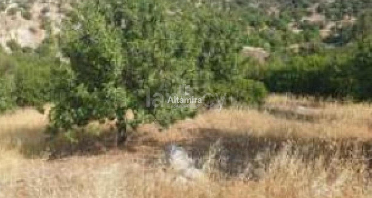 Campo agrícola a la venta en Paphos
