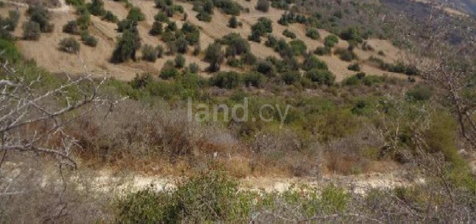 Αγροτικό αγροτεμάχιο προς πώληση - Πάφος