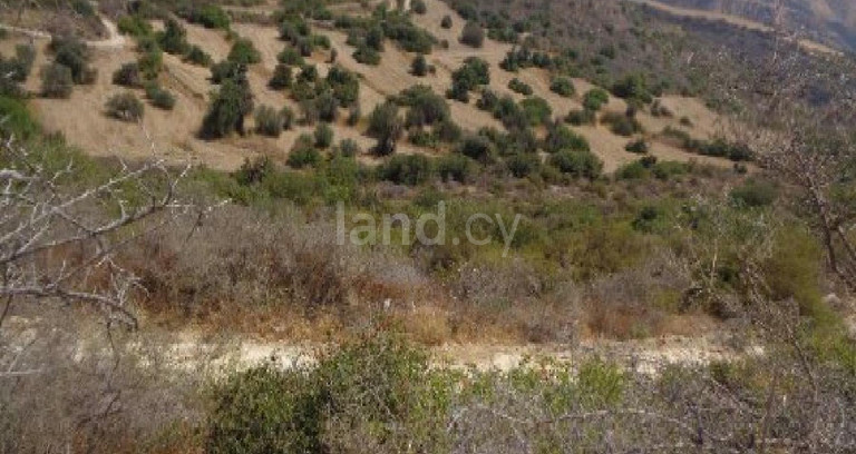 Landwirtschaftliches Baugebiet in Paphos zu verkaufen