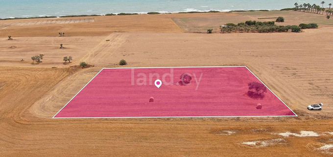 Pole na sprzedaż w Larnaca