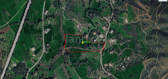 Agricultural field for sale in Larnaca