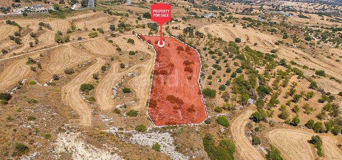 Αγροτικό αγροτεμάχιο προς πώληση - Πάφος