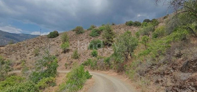 Αγροτικό αγροτεμάχιο προς πώληση - Λεμεσός