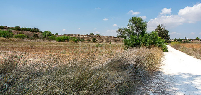 Agricultural field for sale in Frenaros