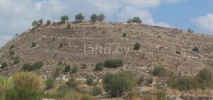 Agricultural field for sale in Paphos