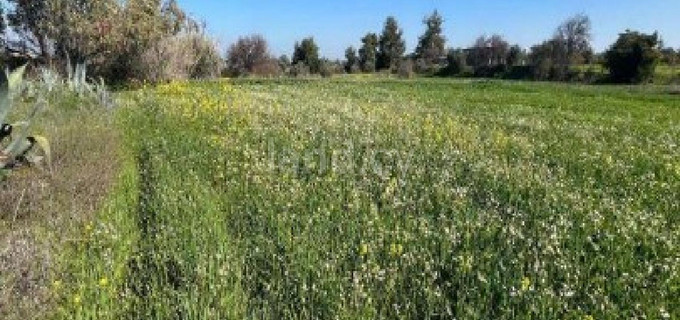 Жилое поле на продажу в Никосия