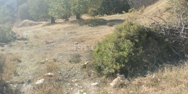 Fält till salu i Limassol