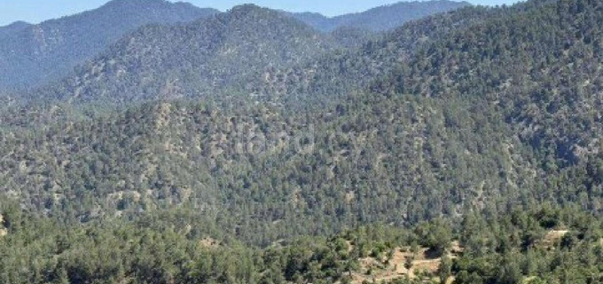 Campo agrícola a la venta en Paphos
