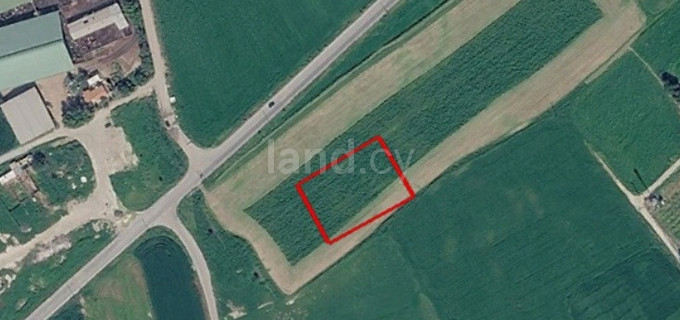 Campo a la venta en Larnaca