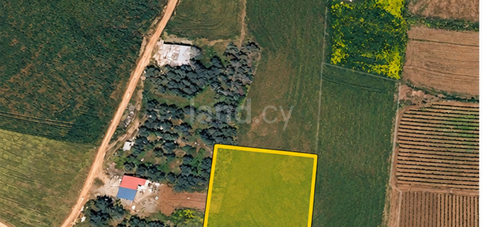 Agricultural field for sale in Frenaros