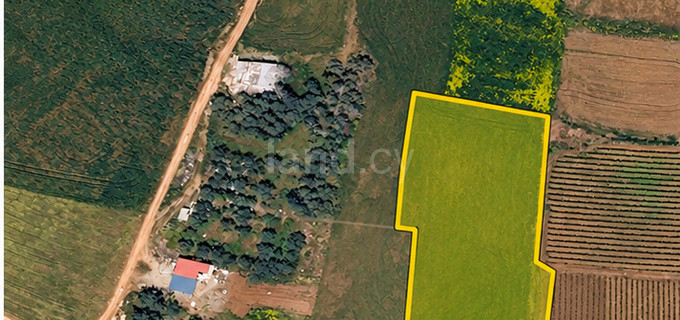 Agricultural field for sale in Frenaros
