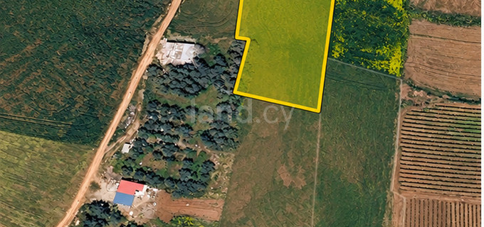 Agricultural field for sale in Frenaros