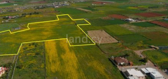 Residential field for sale in Liopetri