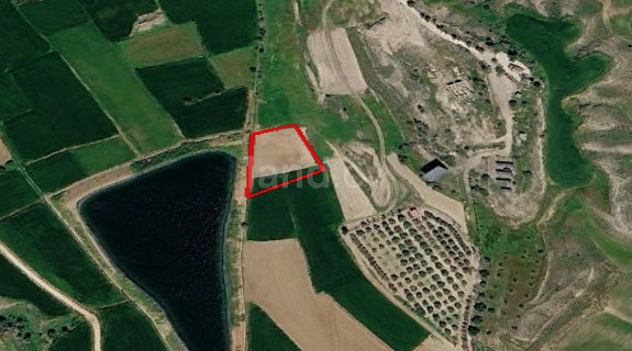 Agricultural field for sale in Nicosia