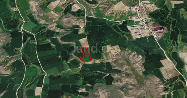 Agricultural field for sale in Nicosia