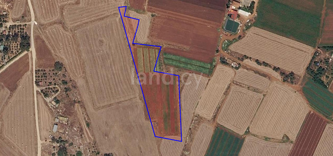 Touristic field for sale in Liopetri