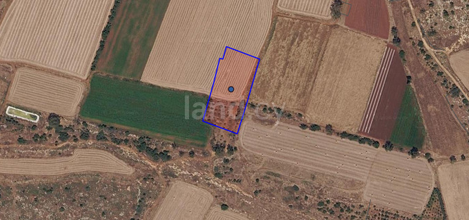 Touristic field for sale in Liopetri