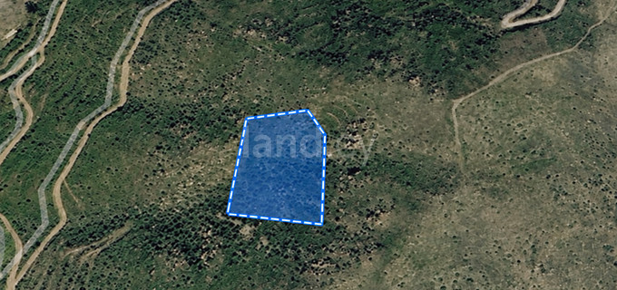 Campo agrícola a la venta en Larnaca