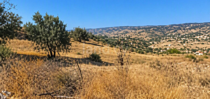 Landwirtschaftliches Baugebiet in Paphos zu verkaufen