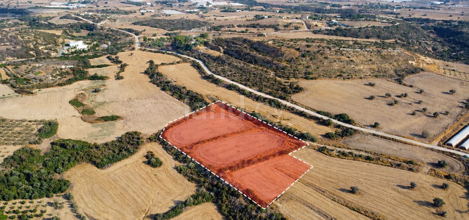Campo agrícola a la venta en Larnaca