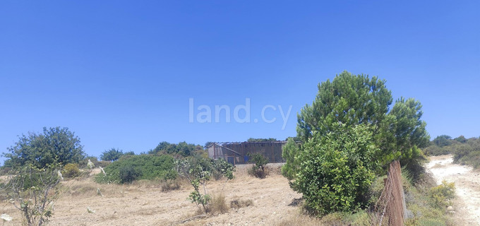 Campo a la venta en Limassol
