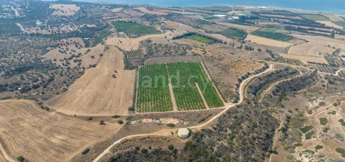 Baugebiet in Paphos zu verkaufen