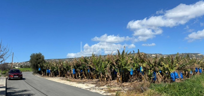 Fält till salu i Paphos