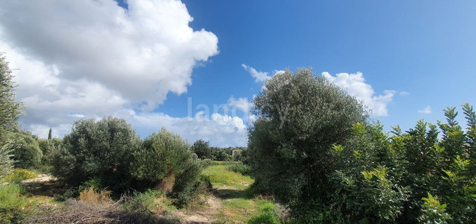 Parcela a la venta en Paphos