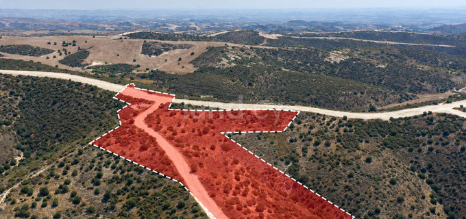 Campo agrícola a la venta en Larnaca