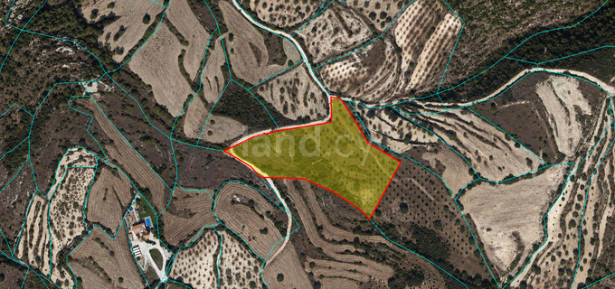 Terrain agricole à vendre à Paphos