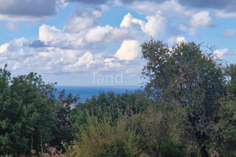 Wohnbaugrundstück in Paphos zu verkaufen