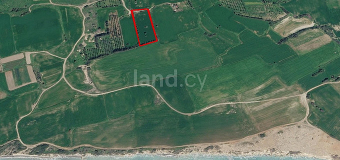 Landwirtschaftliches Baugebiet in Larnaca zu verkaufen