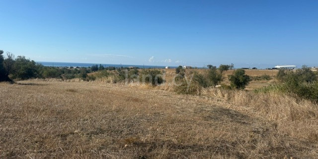 Pole na sprzedaż w Paphos