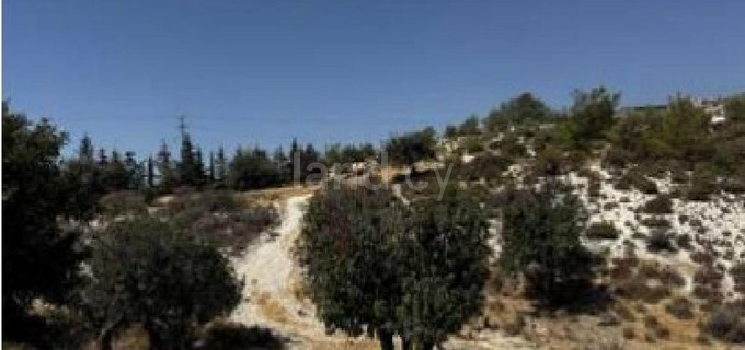 Landwirtschaftliches Baugebiet in Larnaca zu verkaufen