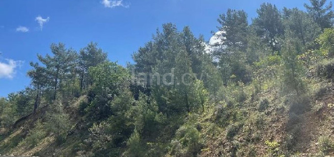 Αγροτικό αγροτεμάχιο προς πώληση - Λευκωσία