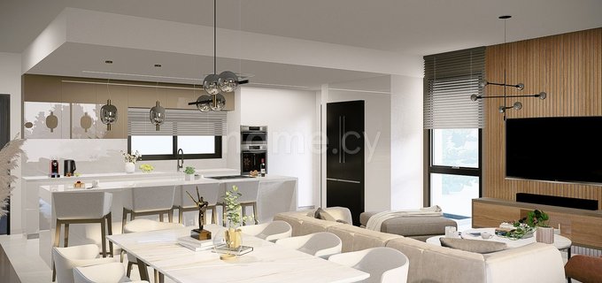 Penthouse à vendre à Nicosie