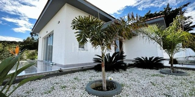 Bungalow to rent in Limassol